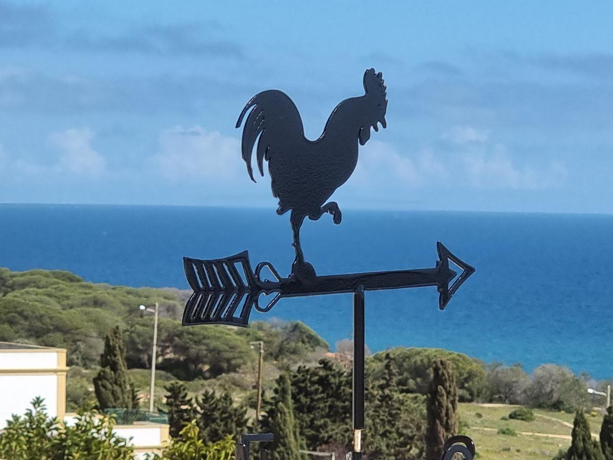 Villa Oceano Albufeira Kültér fotó